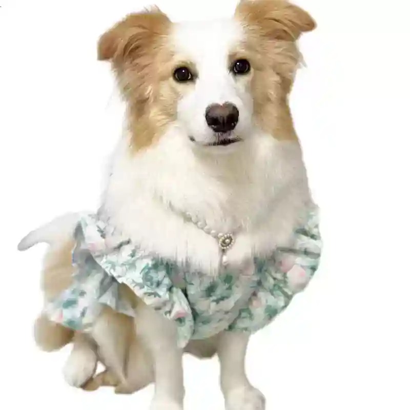 Summer Dog Clothing - ملابس للحيوانات الأليفة لفصلي الربيع والصيف،