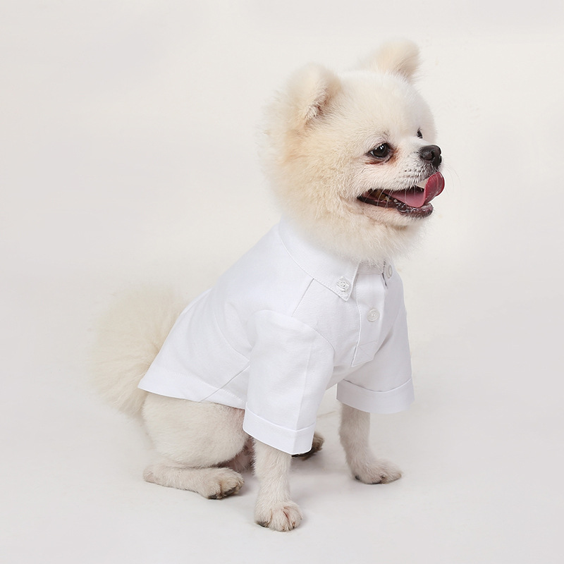 قمصان قاع الحيوانات الأليفة ،  - مراجعة Summer Dog Clothing وسعره