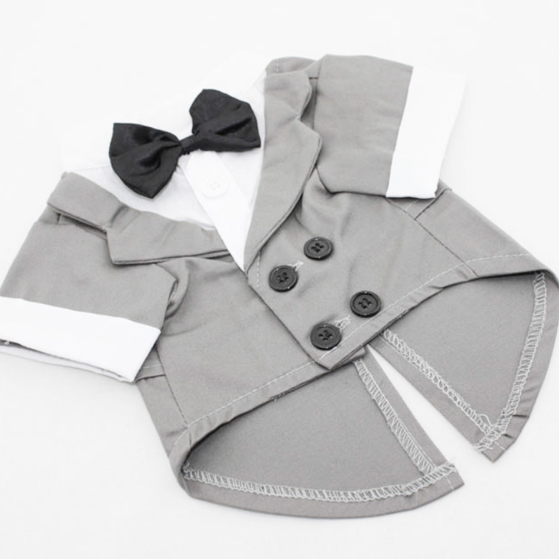 بدلة رسمية مع ربطة عنق سوداء ل - مراجعة Summer Dog Clothing وسعره