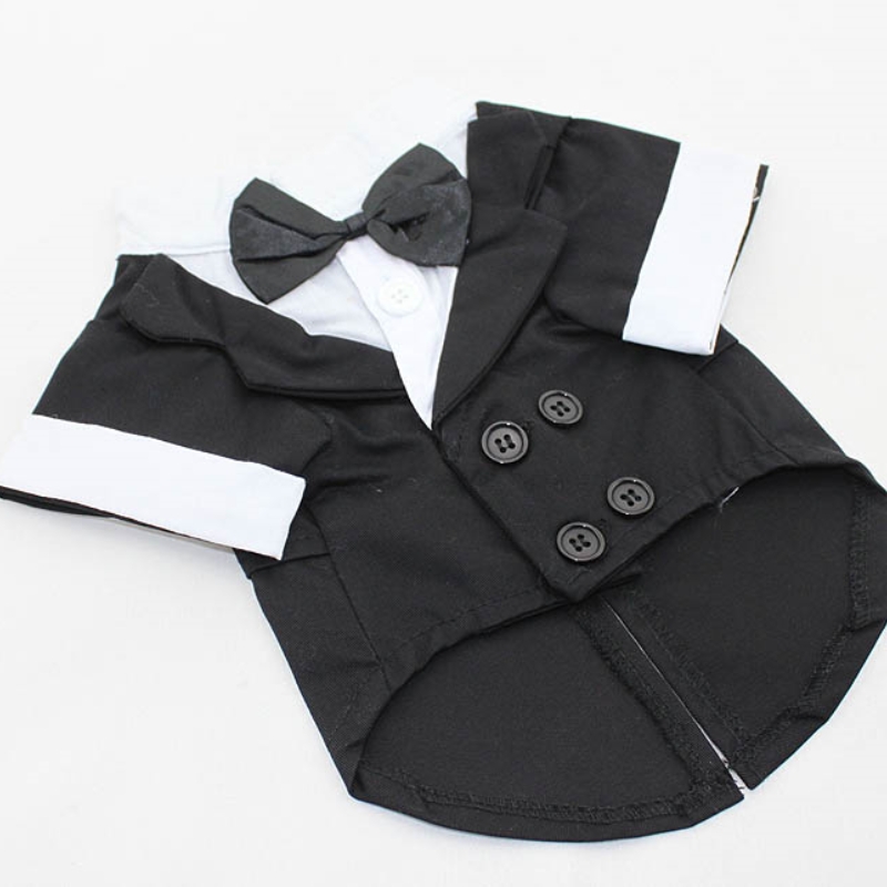 بدلة رسمية مع ربطة عنق سوداء ل - مراجعة Summer Dog Clothing وسعره