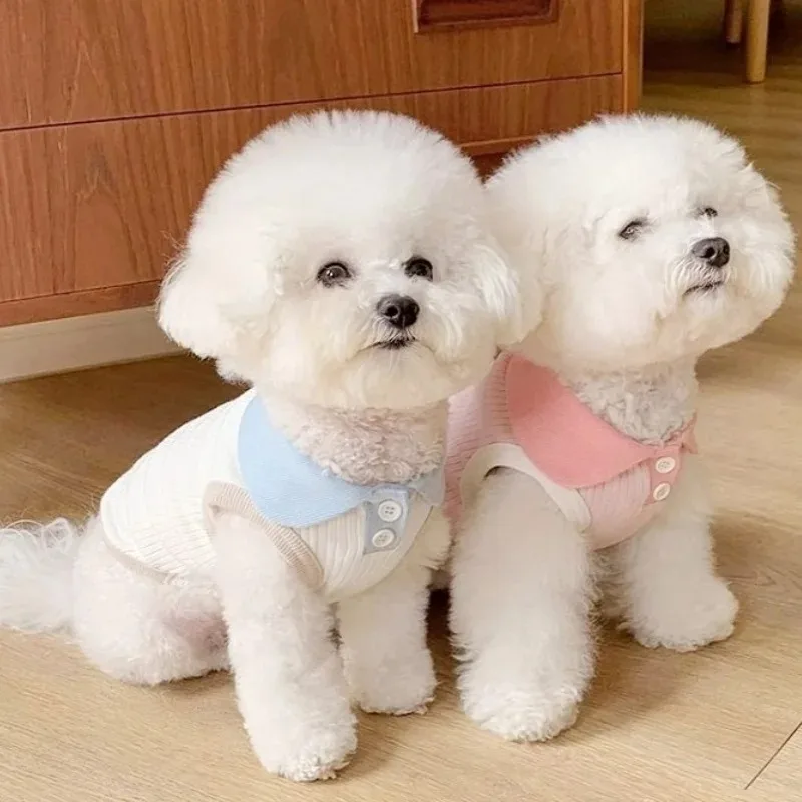 ملابس صيفية للكلاب، قمصان وبلو - مراجعة Summer Dog Clothing وسعره