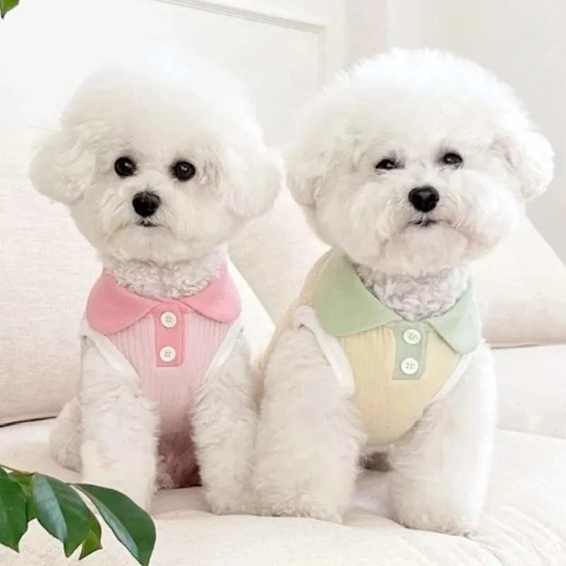 ملابس صيفية للكلاب، قمصان وبلو - مراجعة Summer Dog Clothing وسعره