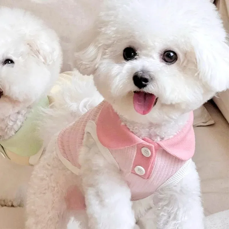 ملابس صيفية للكلاب، قمصان وبلو - مراجعة Summer Dog Clothing وسعره