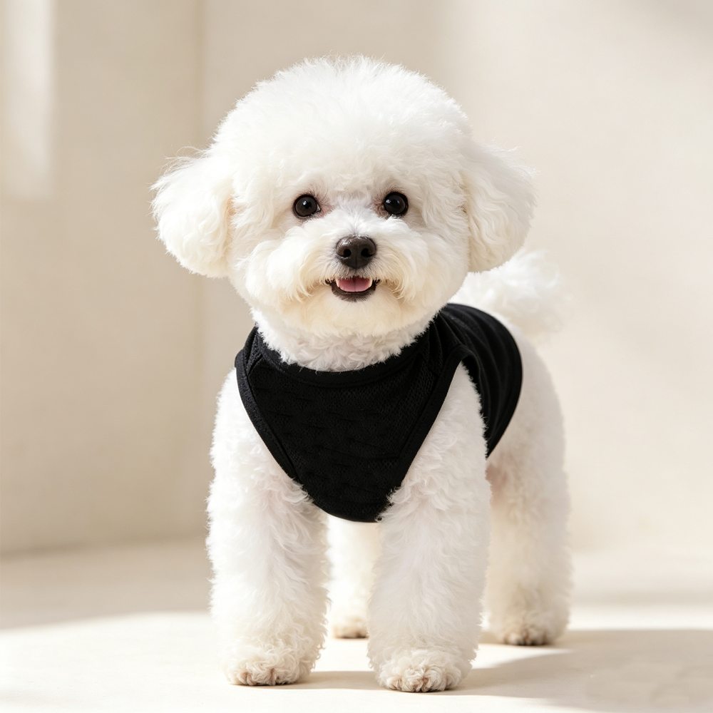 سترة صيفية قابلة للتنفس للحيوا - مراجعة Summer Dog Clothing وسعره