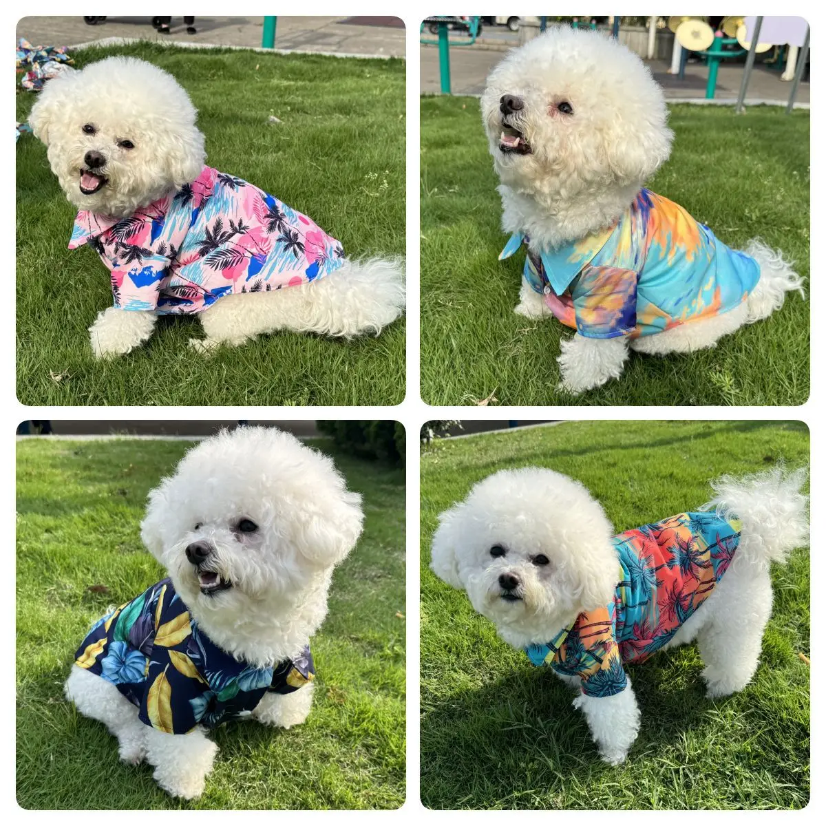 قميص هاواي للحيوانات الأليفة،  - مراجعة Summer Dog Clothing وسعره