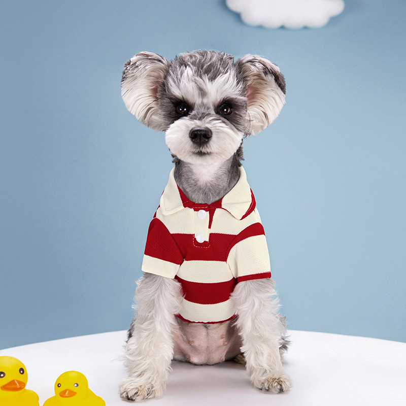 قميص بولو للكلاب، ملابس صيفية  - مراجعة Summer Dog Clothing وسعره