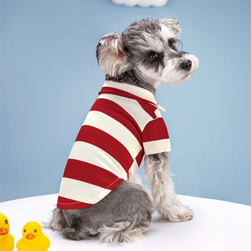قميص بولو للكلاب، ملابس صيفية  - مراجعة Summer Dog Clothing وسعره