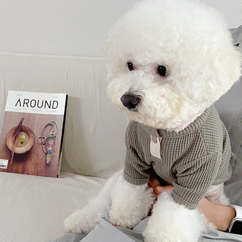 الصيف الحيوانات الأليفة قميص ا - مراجعة Summer Dog Clothing وسعره