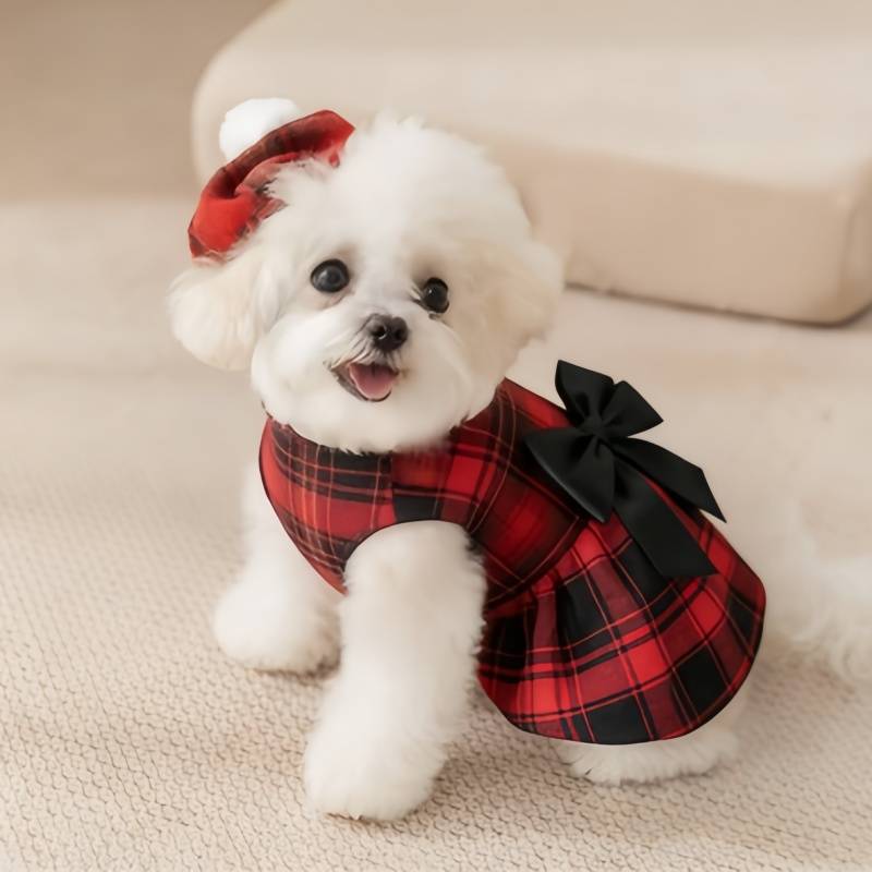 ملابس للكلاب الأليفة، قميص مخط - مراجعة Summer Dog Clothing وسعره