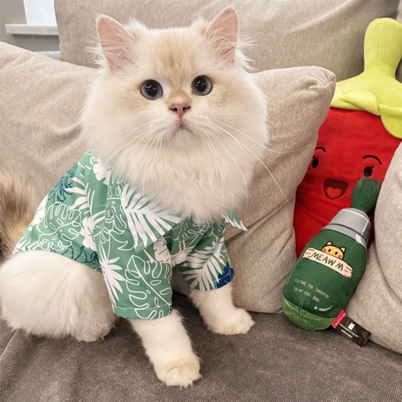 الصيف هاواي شاطئ نمط الكلب قمي - مراجعة Summer Dog Clothing وسعره